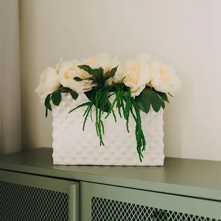 Dream - Stylish With French Balcony 公寓 *